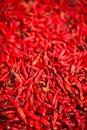 Red dried chillies background