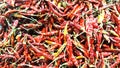 Red dried chillies background. spices