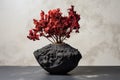 a red dried flower in a black ceramic pot on a marble table Royalty Free Stock Photo