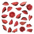 Red dried flower leaves potpourri Royalty Free Stock Photo