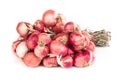 Red dried onions on white background, raw food ingredient Royalty Free Stock Photo