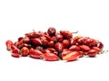 Red dried organic rosehip isolated Royalty Free Stock Photo