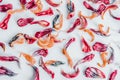 Red dried tulip petals scattered on a white table