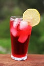 Red Drink Royalty Free Stock Photo