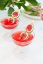 Red drink with ice. Alcoholic beverages decorated with fresh fig fruits on white background. Campari aperol drink