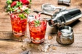 Red drink with ice. Cocktail making bar tools Royalty Free Stock Photo