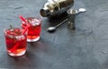 Red drink with ice. Cocktail making bar tools, strawberry and thyme leaves Royalty Free Stock Photo