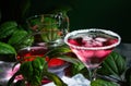 Red drink with ice in a margarita glass. In the background is a jug with a cocktail, surrounded by green leaves of a plant. Royalty Free Stock Photo