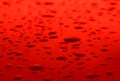 Red Drops Splashed On Red Surface Royalty Free Stock Photo
