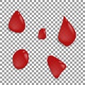 Red drops of blood, red water, wine isolated on transparent background. Vector realistic mockup of liquid drops of
