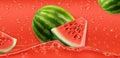 Red drops. Watermelon. 3d vector Royalty Free Stock Photo