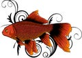 Red Drum, Redfish. Vector illustration with refined details Royalty Free Stock Photo