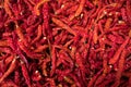 Red dry chilli Royalty Free Stock Photo