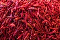 Red dry chilli Royalty Free Stock Photo