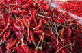 Red dry chilli Royalty Free Stock Photo