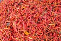 Red dry chilli Royalty Free Stock Photo