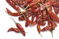 Red dry chillies isolated on white background Royalty Free Stock Photo