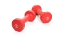 Red Dumbbell