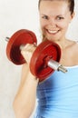 Red dumbbell Royalty Free Stock Photo