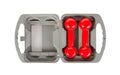 Red dumbbells in a grey case