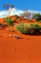 Red dune Royalty Free Stock Photo