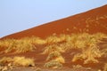 Red dune with hassock Royalty Free Stock Photo