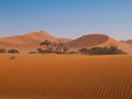 Red dune of Namid desert