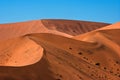 Red Dunes Royalty Free Stock Photo