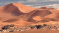 Red dunes of Namibia / Sossusvlei