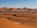 Red dunes of Namid desert