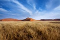 Red Dunes in Sossusvlei Royalty Free Stock Photo