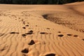 Red dunes. Vietnam. Royalty Free Stock Photo