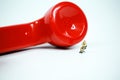 Red earphone on call with the office boy Royalty Free Stock Photo