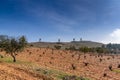 Red earth and barren grapevines in a vineyard in La Mancha with whitewashed windmills in the background