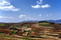 Red earth farmland in Dongchuan, China Royalty Free Stock Photo