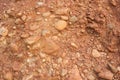 Red earth or soil background Royalty Free Stock Photo