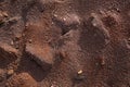 Red earth or soil background. Tropical laterite soil background of red clay. Dry Orange surface, Picture of natural disaster.