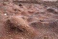 Red earth or soil background. Tropical laterite soil  background of red clay. Dry Orange surface, Picture of natural disaster. Royalty Free Stock Photo