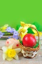 Red easter egg in basket Royalty Free Stock Photo