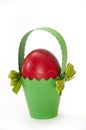 Red easter egg in green carton basket Royalty Free Stock Photo