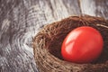 Red Easter egg in nest on old wooden background. Copy space, toned