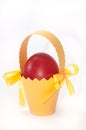 Red easter egg in yellow carton basket Royalty Free Stock Photo