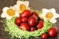 Red easter eggs with flowers. Royalty Free Stock Photo