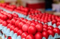 Red easter eggs for sale at an open-air market Royalty Free Stock Photo