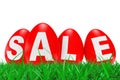 Red Easter Eggs with Sale Sign in Green Grass. 3d Rendering Royalty Free Stock Photo