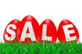 Red Easter Eggs with Sale Sign in Green Grass. 3d Rendering Royalty Free Stock Photo