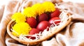 Red Easter eggs and yellow dandelions lie in basket. Celebrating Easter. Painting eggs for Easter. Close-up. Selective focus Royalty Free Stock Photo