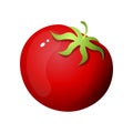 Red eco tomato, for tasty salad or bbq preparation