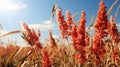 Delicate Sorghum Field: A Seamless Texture For Landscape Design