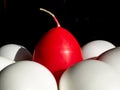 Red egg among white eggs in bright light on a black background, close- up. The concept of preparing for Easter. Concept: Royalty Free Stock Photo